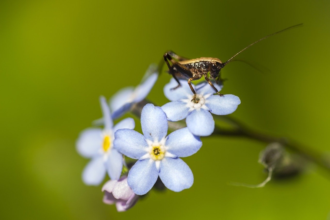 Comment regrouper mes crédits après une faillite personnelle?
