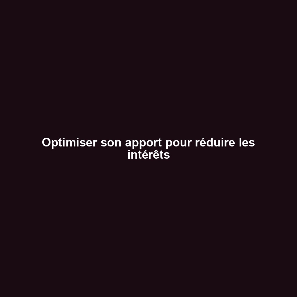 Optimiser son apport pour réduire les intérêts