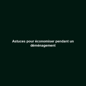 Astuces pour économiser pendant un déménagement