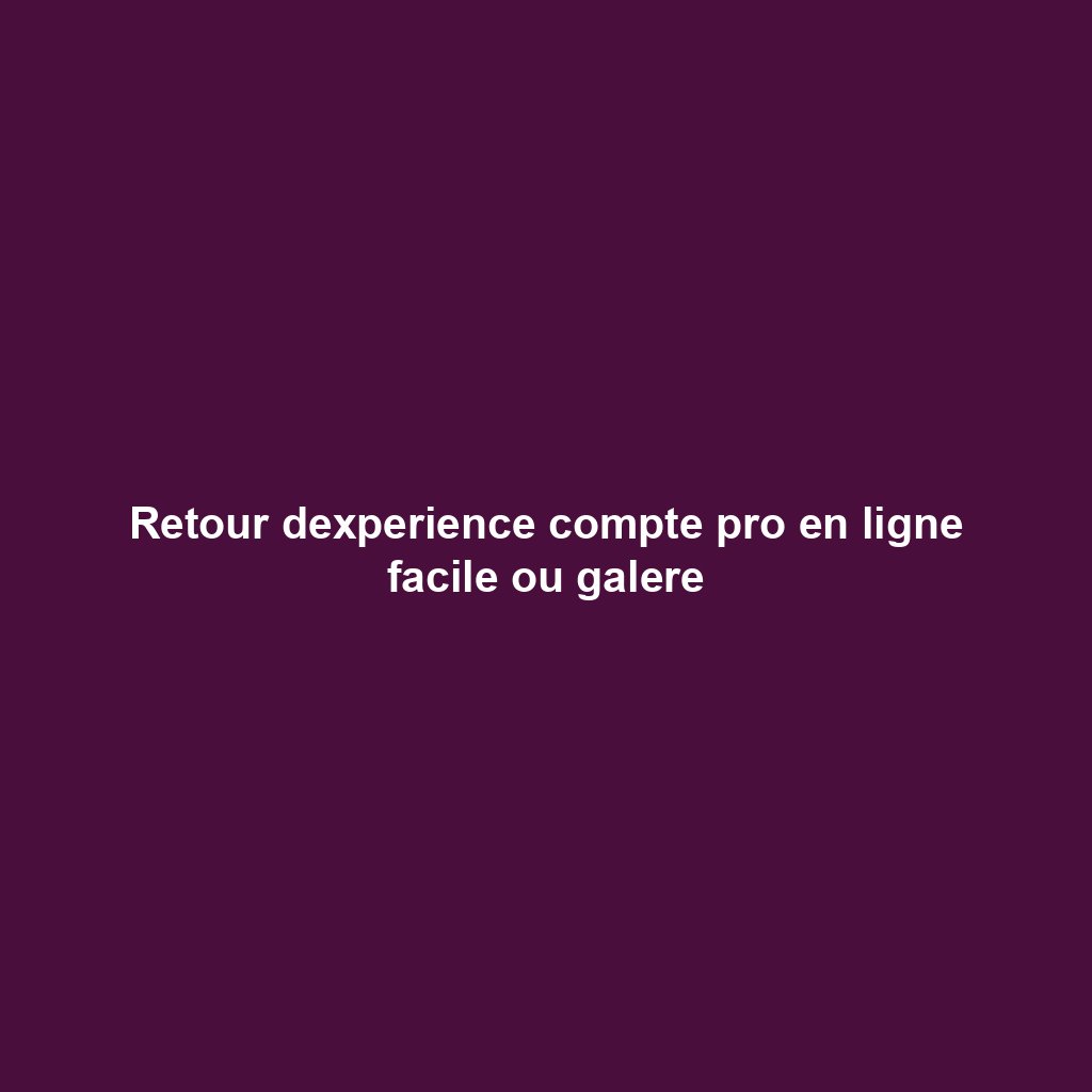 Retour dexperience compte pro en ligne facile ou galere